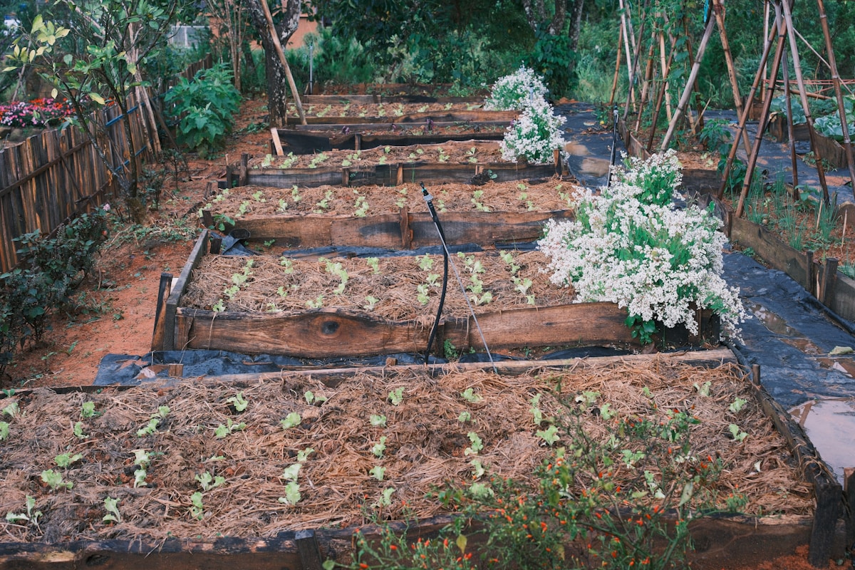 Can a Playground Be a Stormwater Basin? Turns Out, Your Kids...