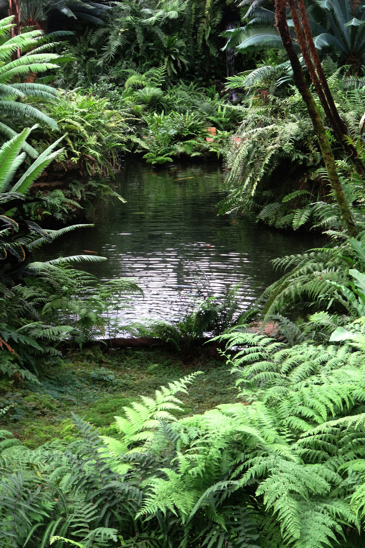 Portland Stormwater Management: BES, PSMM, and Why Your...