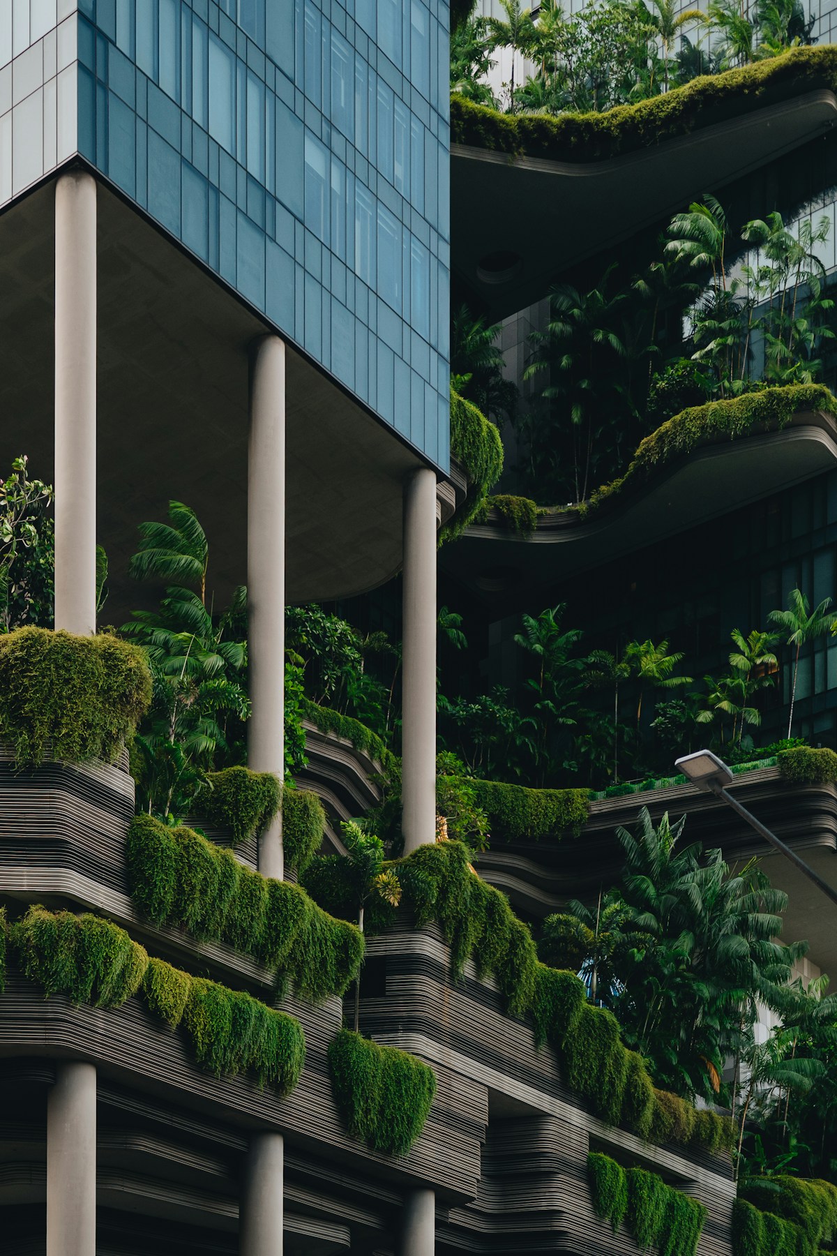 Portland Multifamily Site Planning: Stormwater, Density, and...