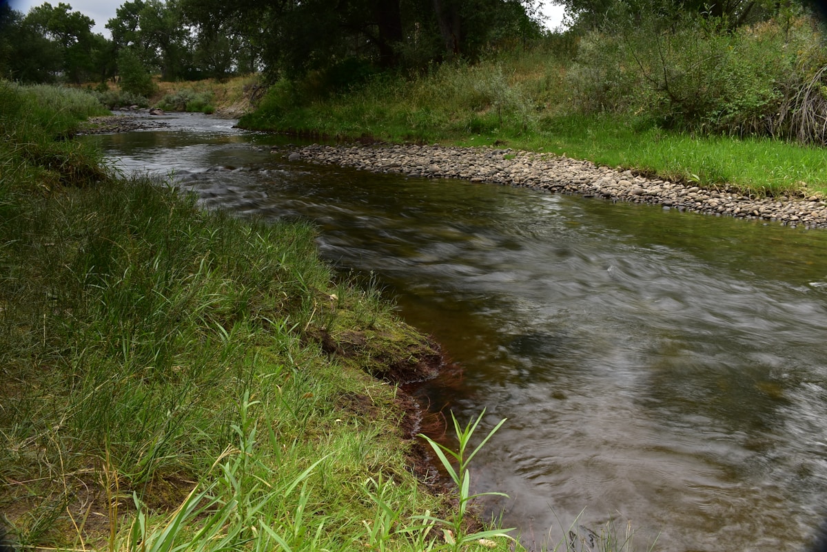 Fitting a Bioretention Basin on a Half-Acre Lot Is Like...