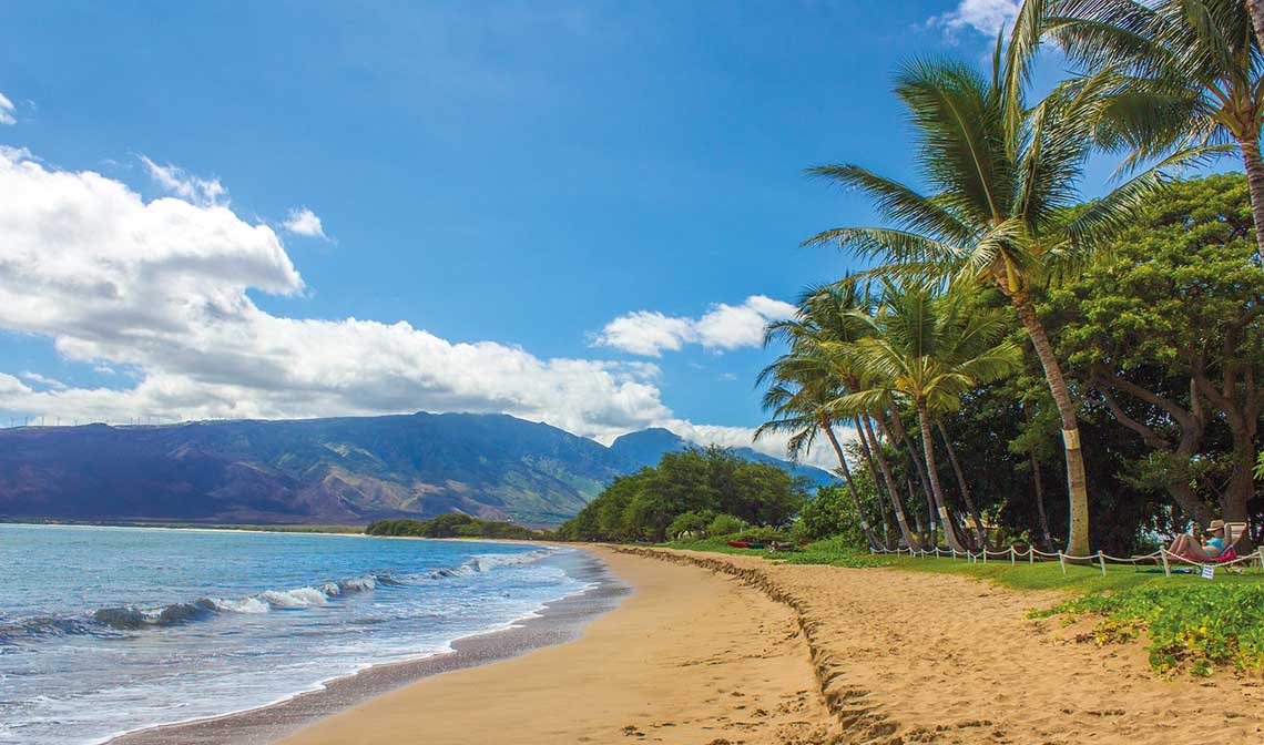 featured image - Aloha! CaliChi goes to Hawaii