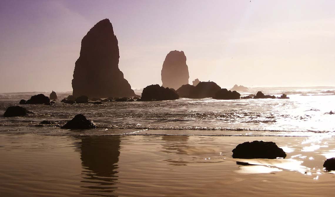 featured image - CaliChi licensed in Oregon