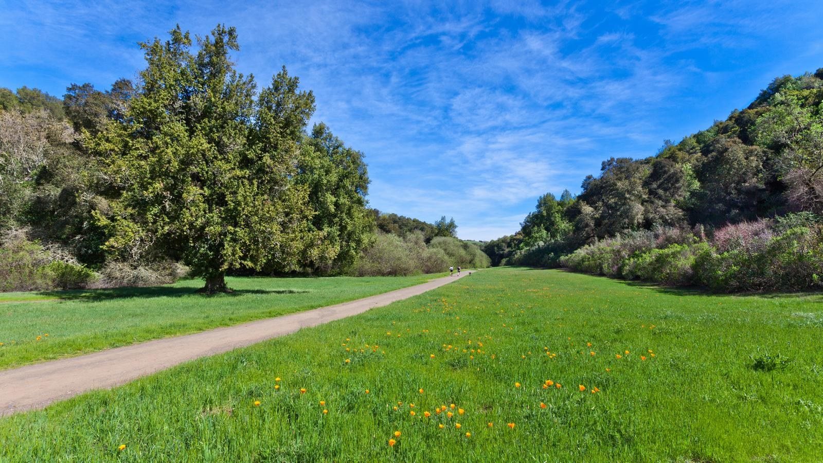 Midpen Open Space On